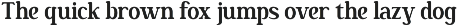 Nakota - Modern Clean Serif Font preview