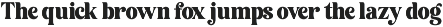 Caribel - Retro Bold Serif Font preview