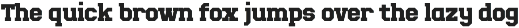 Top Slab – Retro Varsity Slab Serif preview