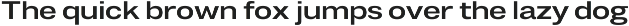 Duga | Neo-Grotesque Type System preview