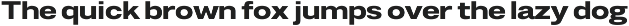 Duga | Neo-Grotesque Type System preview
