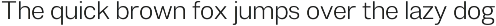 Duga | Neo-Grotesque Type System preview