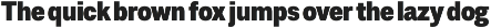 Duga | Neo-Grotesque Type System preview