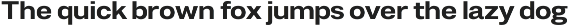Duga | Neo-Grotesque Type System preview