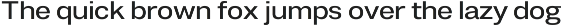 Duga | Neo-Grotesque Type System preview