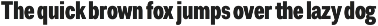 Duga | Neo-Grotesque Type System preview