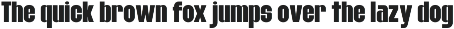 Gold Roger - Bold Condensed Font preview