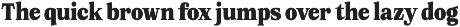 Orchild Serif | 91 Style Font preview