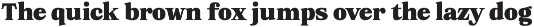 Orchild Serif | 91 Style Font preview