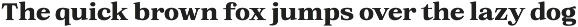 Orchild Serif | 91 Style Font preview