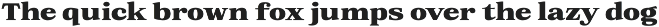 Orchild Serif | 91 Style Font preview