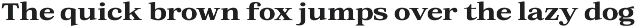 Orchild Serif | 91 Style Font preview