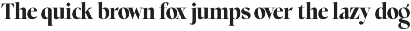 Choppin Serif | 91 Style Font preview