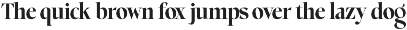 Choppin Serif | 91 Style Font preview