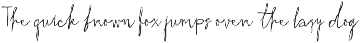 Raw Handwritten Script Bundle preview