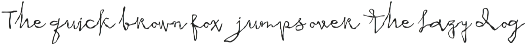 Raw Handwritten Script Bundle preview