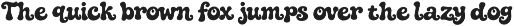 Toasty Morning Bold Groovy Font preview