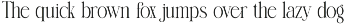 Remla Elegant Serif Font preview