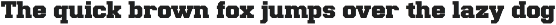 Athletic Union - College Typeface preview