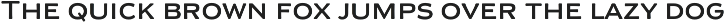 Bailers - Handwritten Swashes Font preview