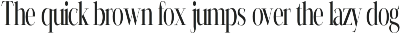 Elegant Modern Serif Font preview