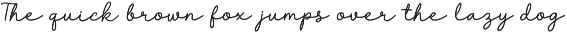 The Midnight Wild Font Duo preview