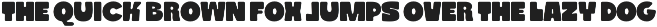 GG Noya preview
