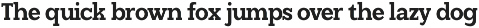 Soliver - Family Modern Slab Font preview