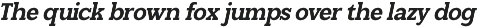 Soliver - Family Modern Slab Font preview