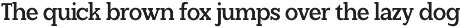 Soliver - Family Modern Slab Font preview