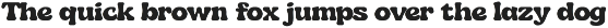 Malibu Chunk - Retro Groovy Font preview