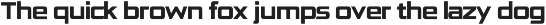 Thrennic: Industrial Tech Font preview