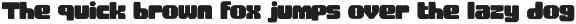Neuron preview