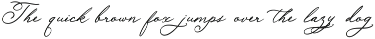 Delicate Lovers -Calligraphy font font preview