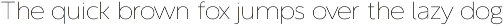 Amigora preview