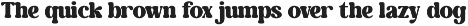 Gently Retro - Family Retro Serif preview