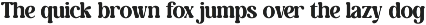 Gently Retro - Family Retro Serif preview