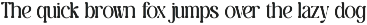 Gently Retro - Family Retro Serif preview