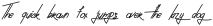 NeonAbsolute Scrip Regular ttf (400)