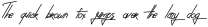 Absolute NeonScript2 Regular ttf (400)