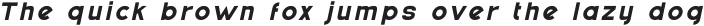 Ferret otf (700)