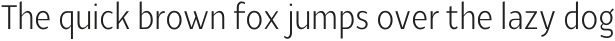 YE Paradigma LightCondensed otf (300)