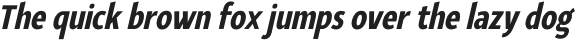 YE Paradigma ItalicBlackCondensed otf (900)