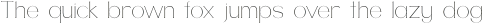 NF Carta Thin otf (100)