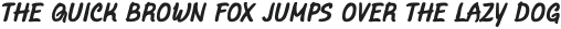 Marvelous Rex Bold Italic otf (700)