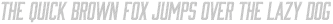 Bourbon Lines Oblique otf (400) Sample