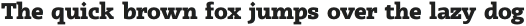 Radcliffe ExtraBold otf (700)