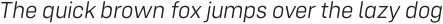 Config Rounded Light Italic otf (300)