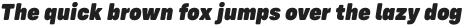 Config Rounded Black Italic otf (900)