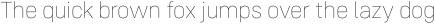 Config Rounded Thin otf (100)